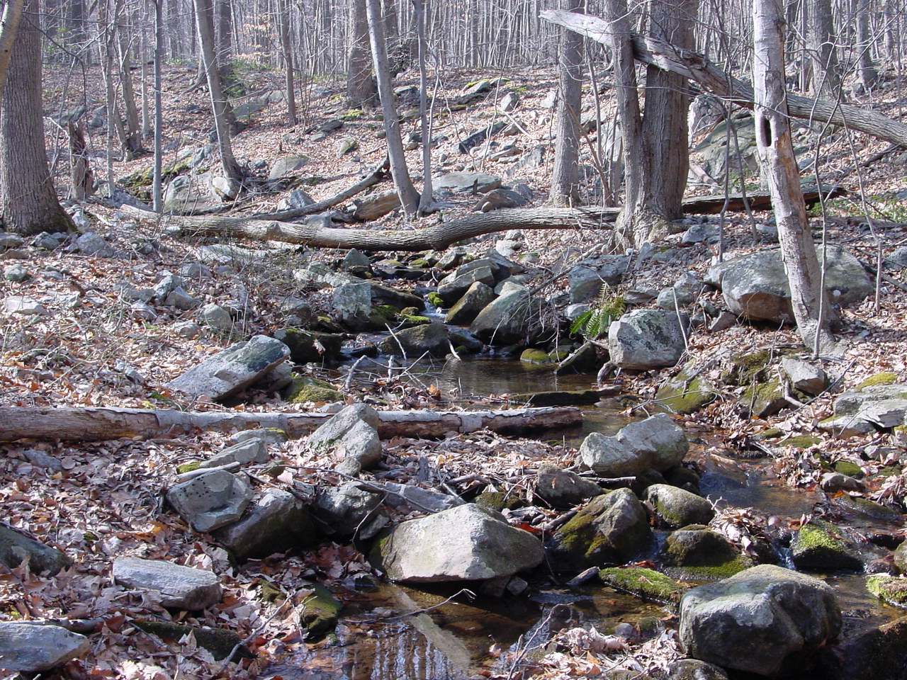Field photo showing stream conditions at site UMON-288-S-2002-2