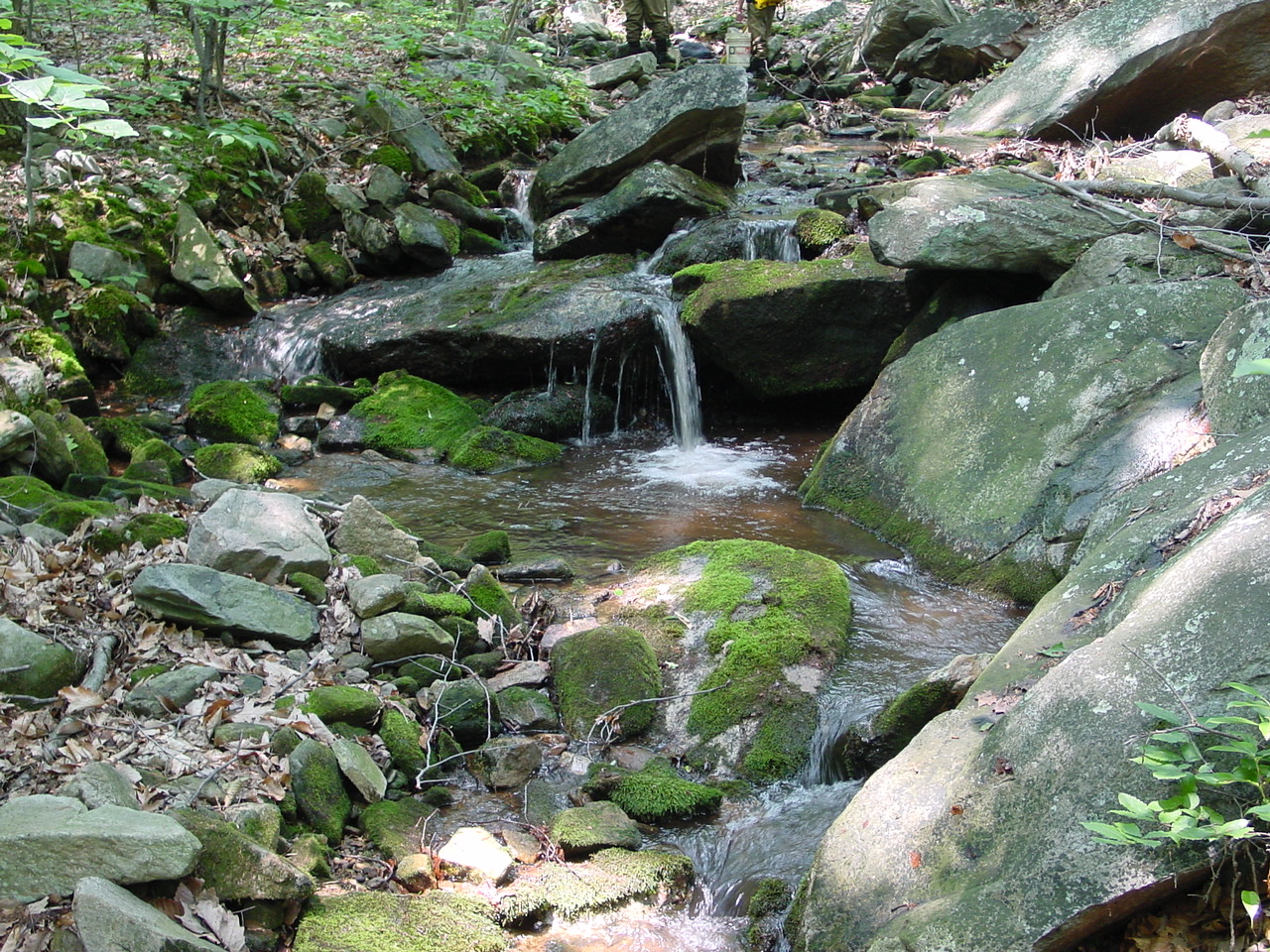 Field photo showing stream conditions at site UMON-288-S-2002-3