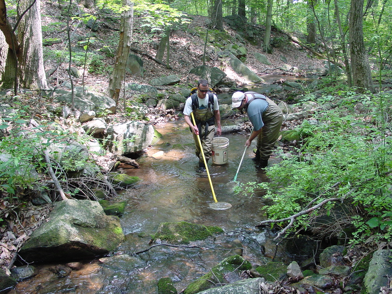 Field photo showing stream conditions at site UMON-288-S-2002-4