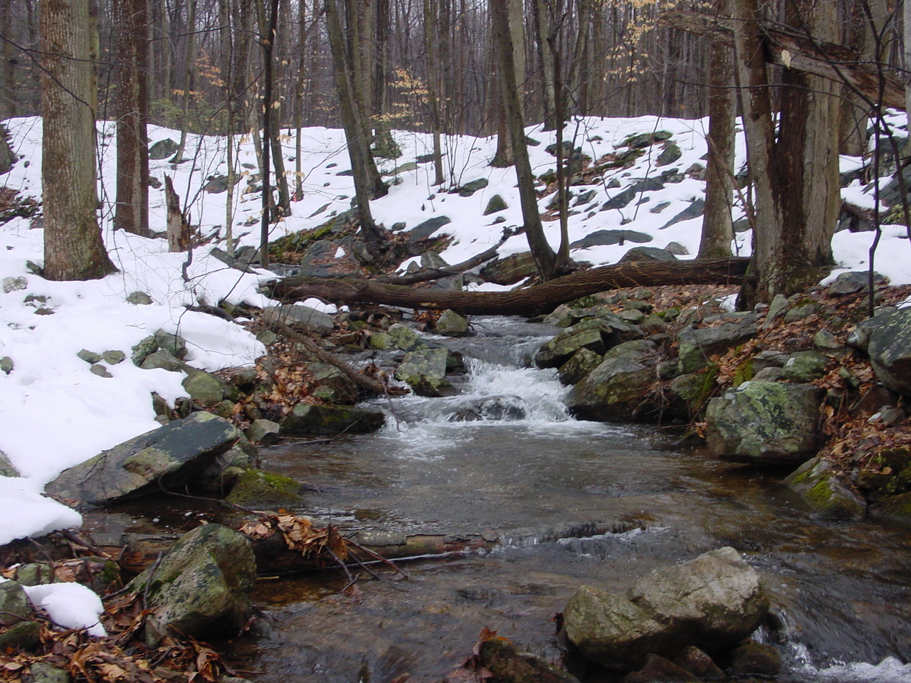 Field photo showing stream conditions at site UMON-288-S-2003-1