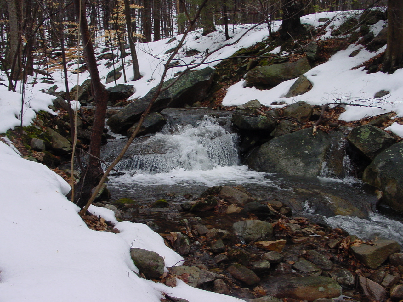 Field photo showing stream conditions at site UMON-288-S-2003-2