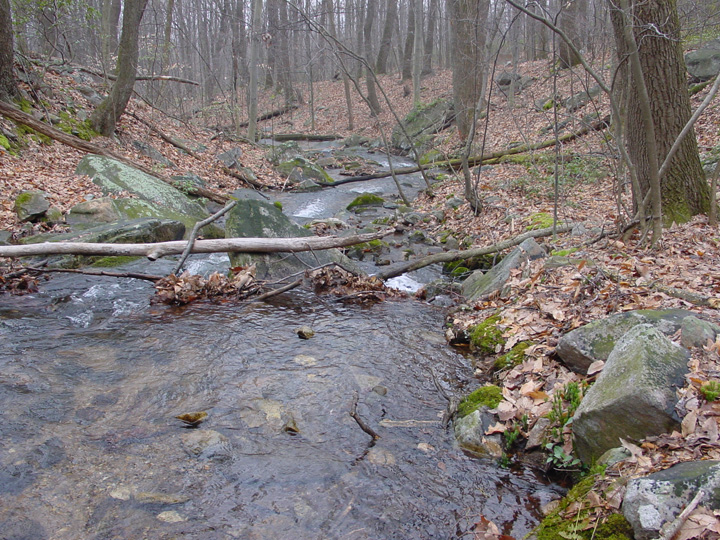 Field photo showing stream conditions at site UMON-288-S-2007-1