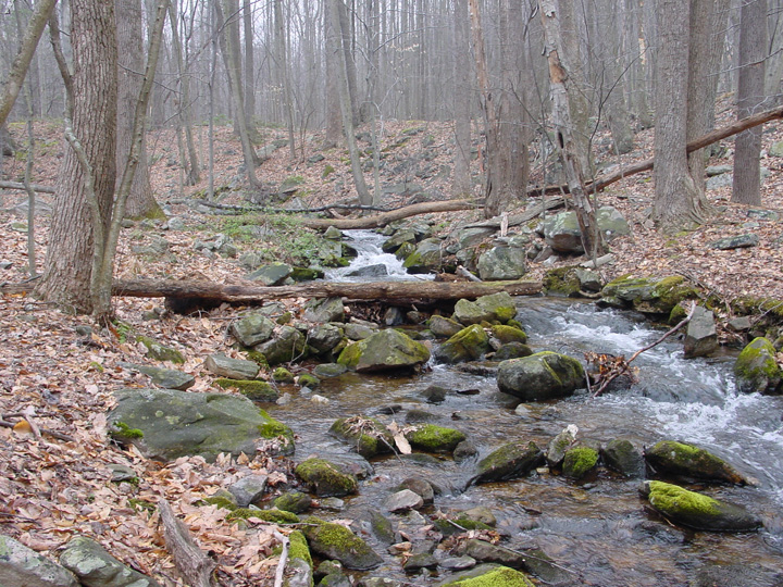 Field photo showing stream conditions at site UMON-288-S-2007-2