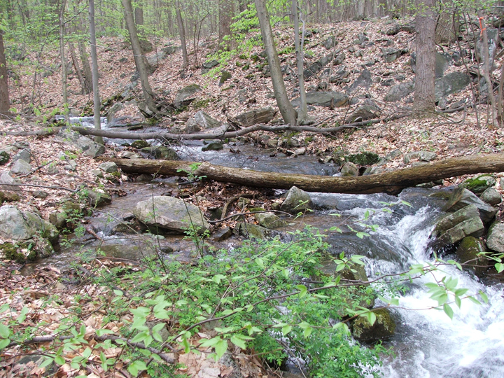 Field photo showing stream conditions at site UMON-288-S-2008-1