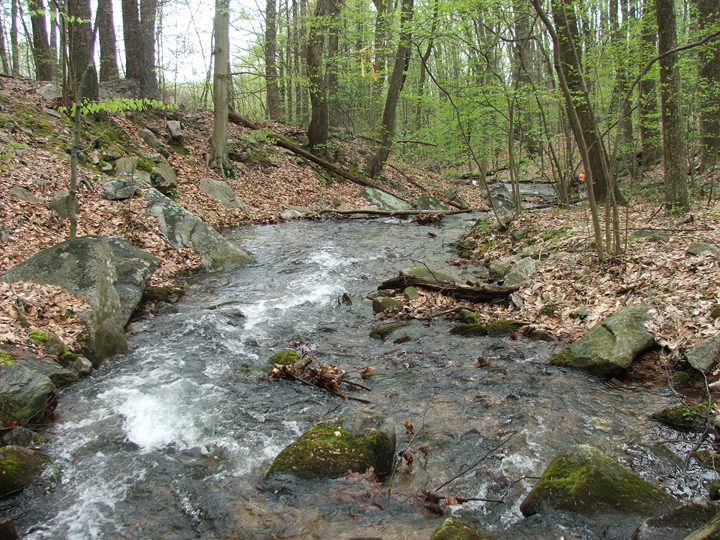 Field photo showing stream conditions at site UMON-288-S-2008-2