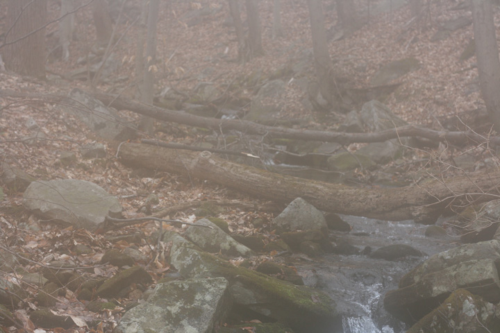 Field photo showing stream conditions at site UMON-288-S-2009-1