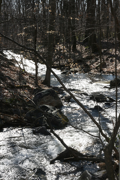 Field photo showing stream conditions at site UMON-288-S-2010-2