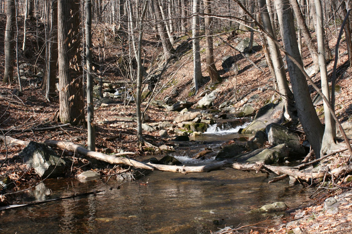 Field photo showing stream conditions at site UMON-288-S-2011-1