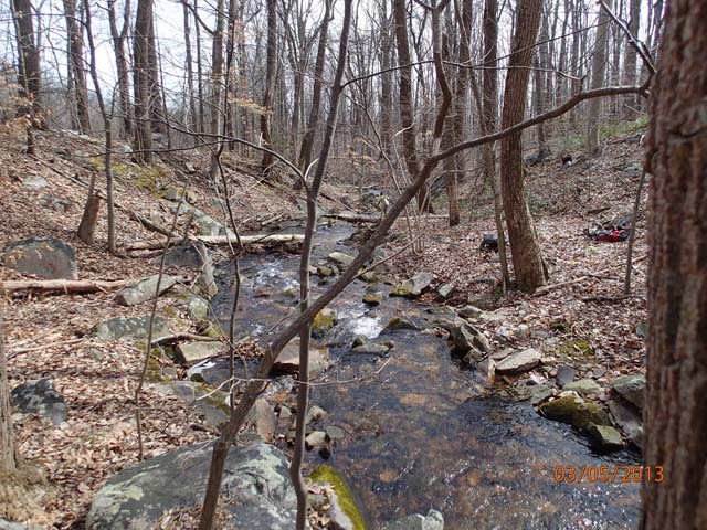Field photo showing stream conditions at site UMON-288-S-2013-MidpointPdownstream