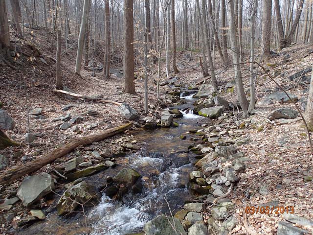 Field photo showing stream conditions at site UMON-288-S-2013-MidpointPupstream