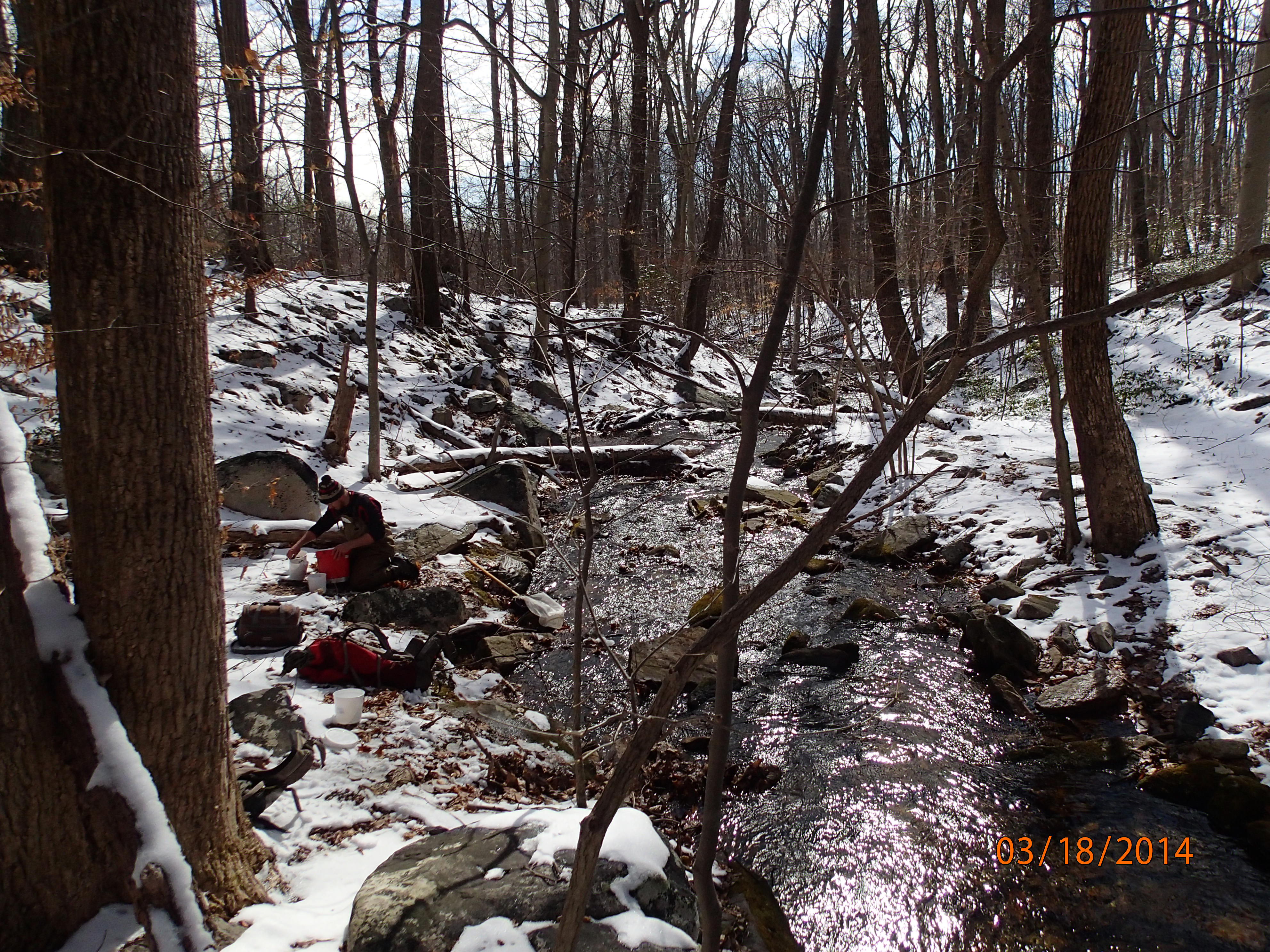 Field photo showing stream conditions at site UMON-288-S-2014-MidpointPDownstream