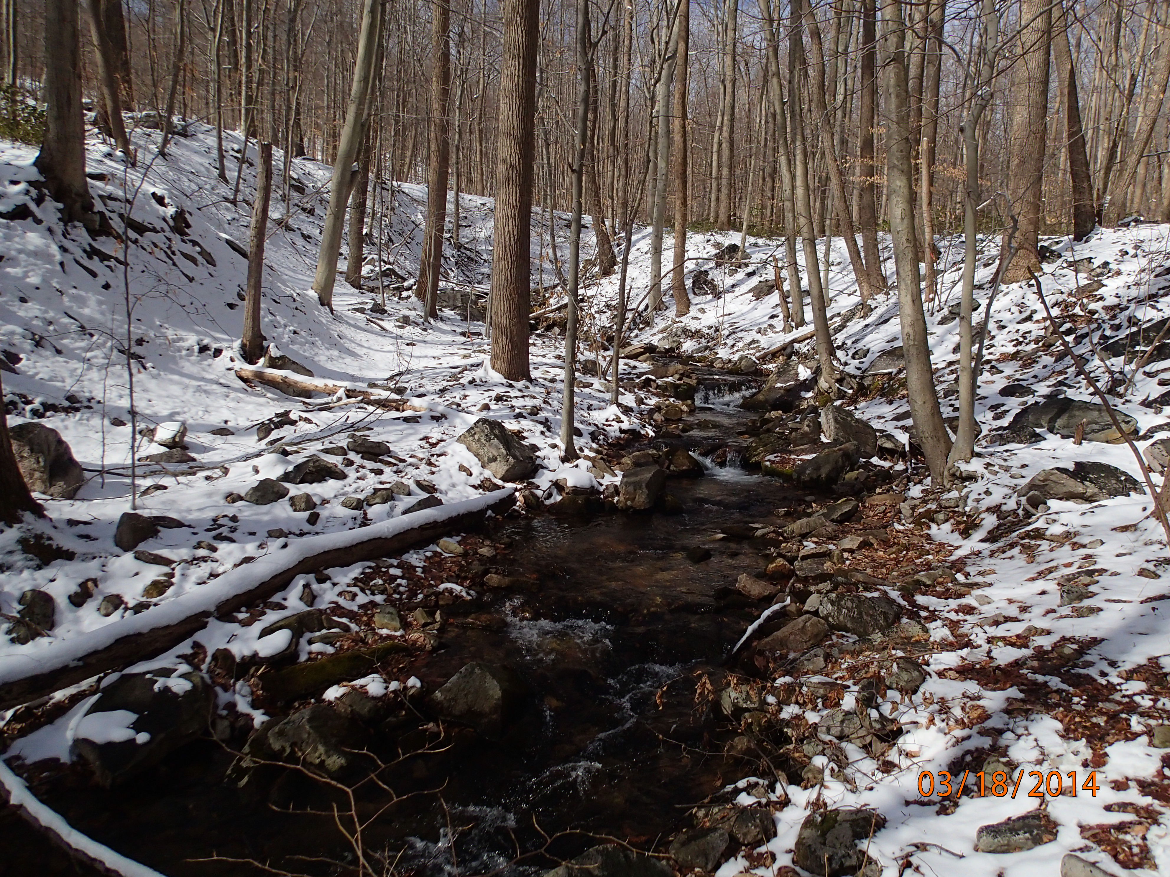 Field photo showing stream conditions at site UMON-288-S-2014-MidpointPUpstream