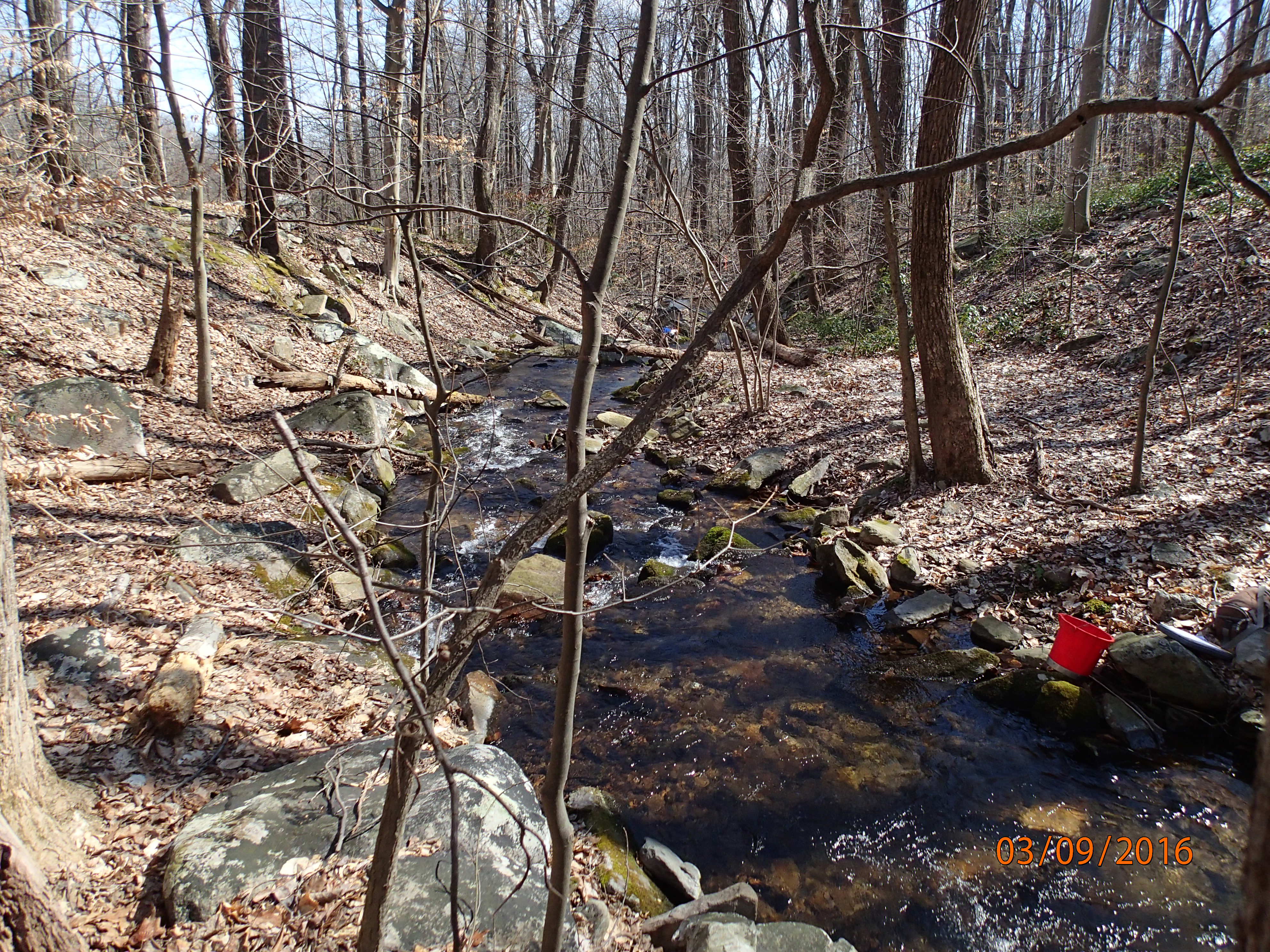 Field photo showing stream conditions at site UMON-288-S-2016-MidpointPDownstream