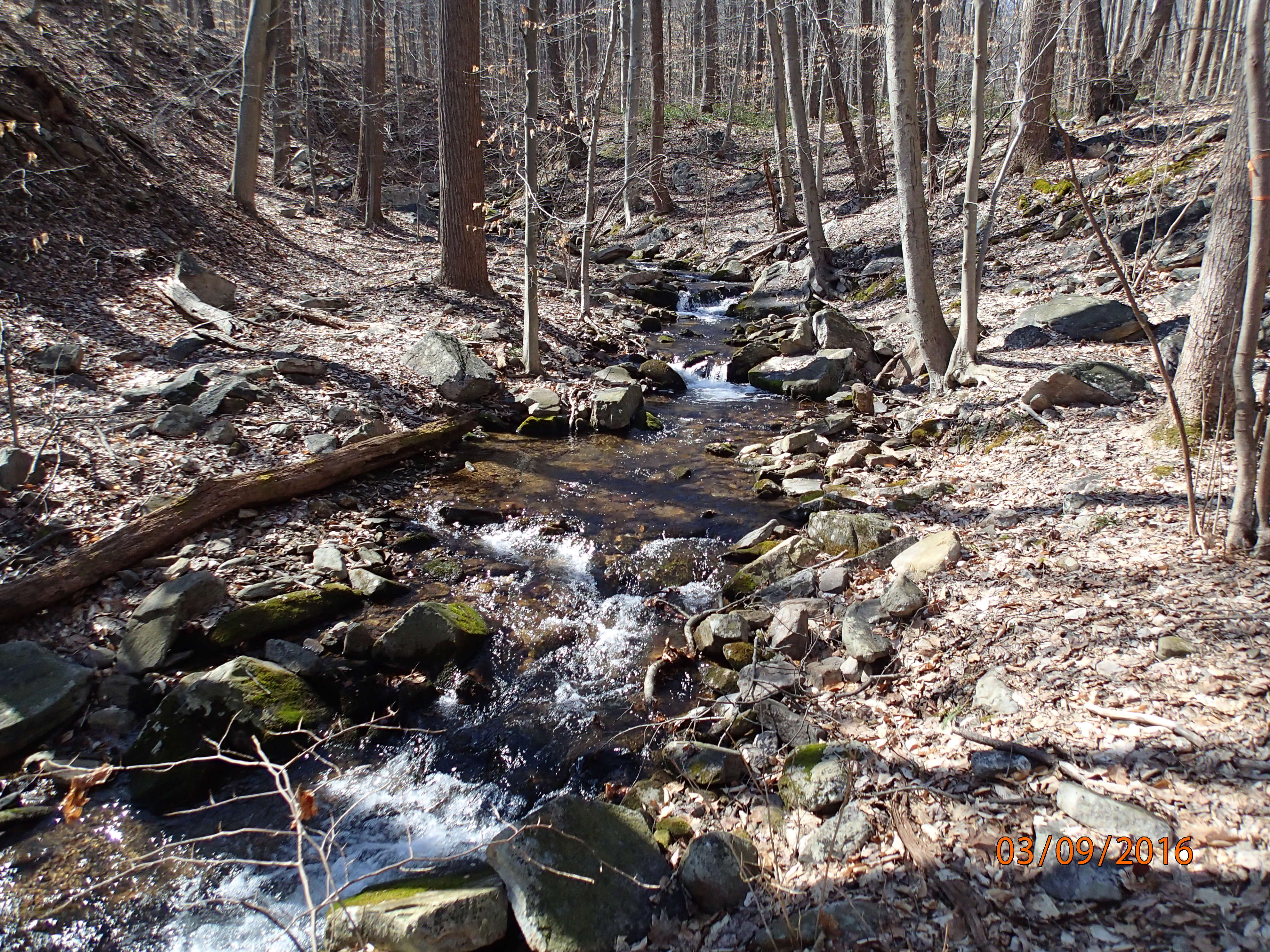 Field photo showing stream conditions at site UMON-288-S-2016-MidpointPUpstream