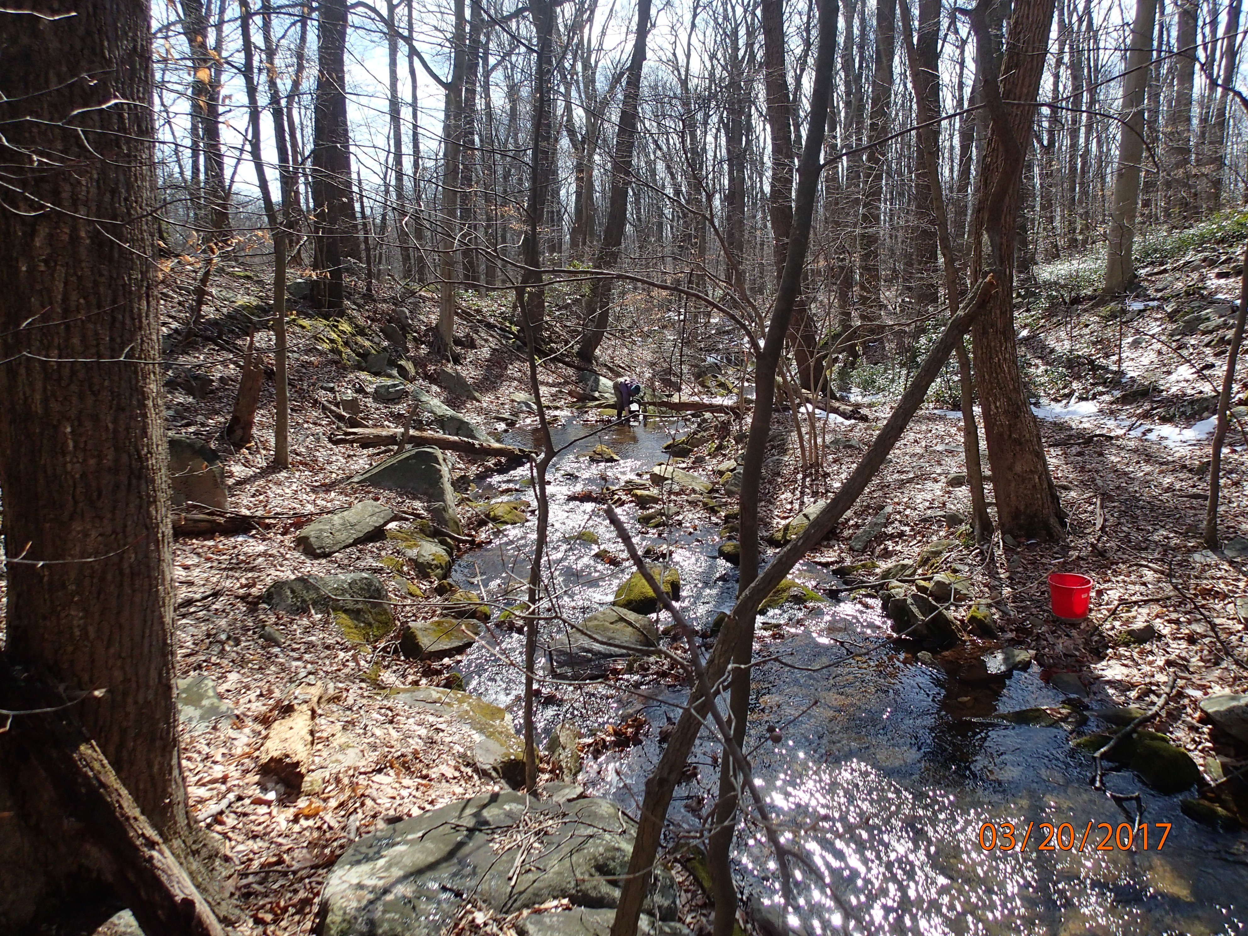 Field photo showing stream conditions at site UMON-288-S-2017-MidpointPDownstream
