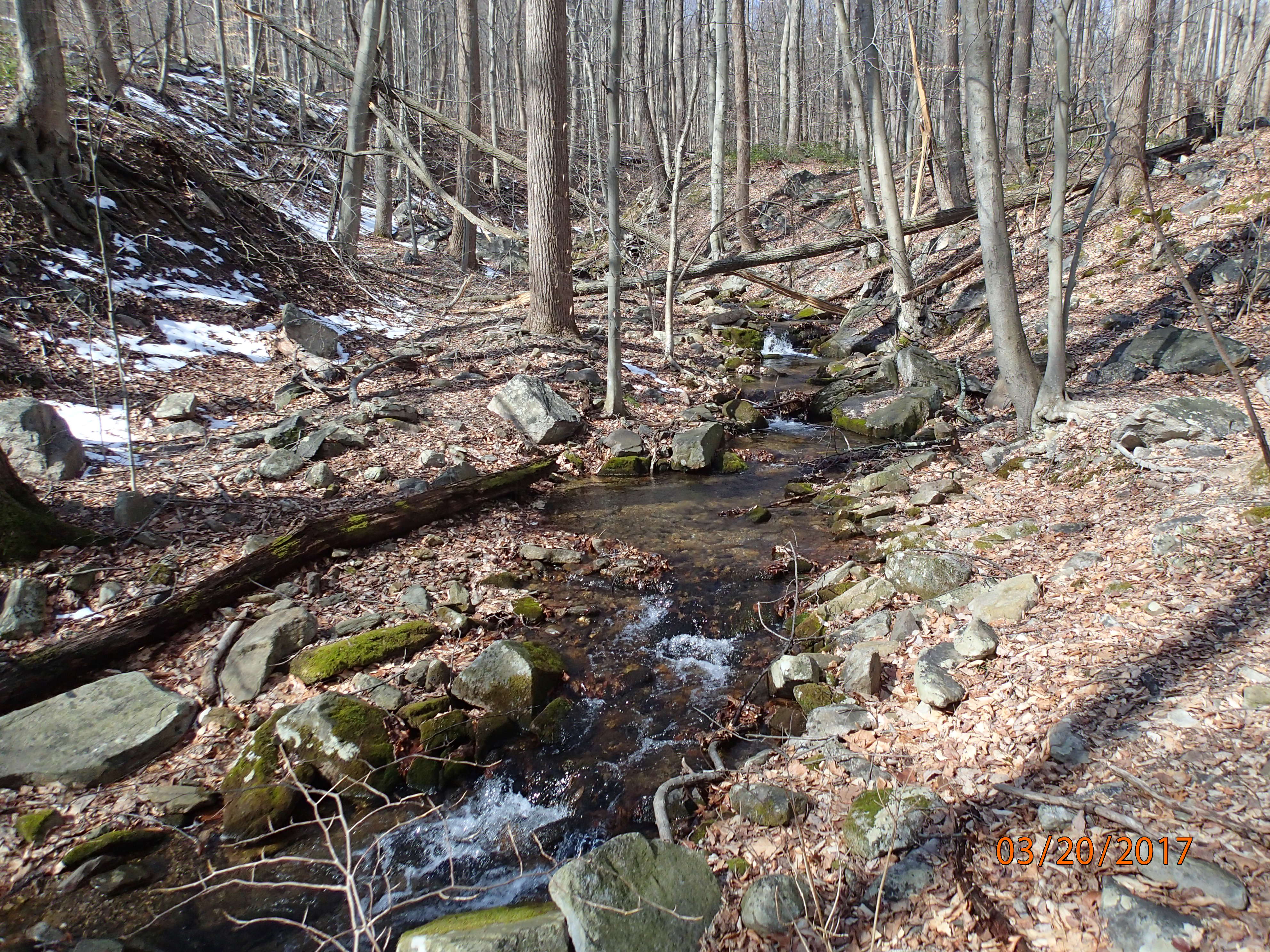 Field photo showing stream conditions at site UMON-288-S-2017-MidpointPUpstream