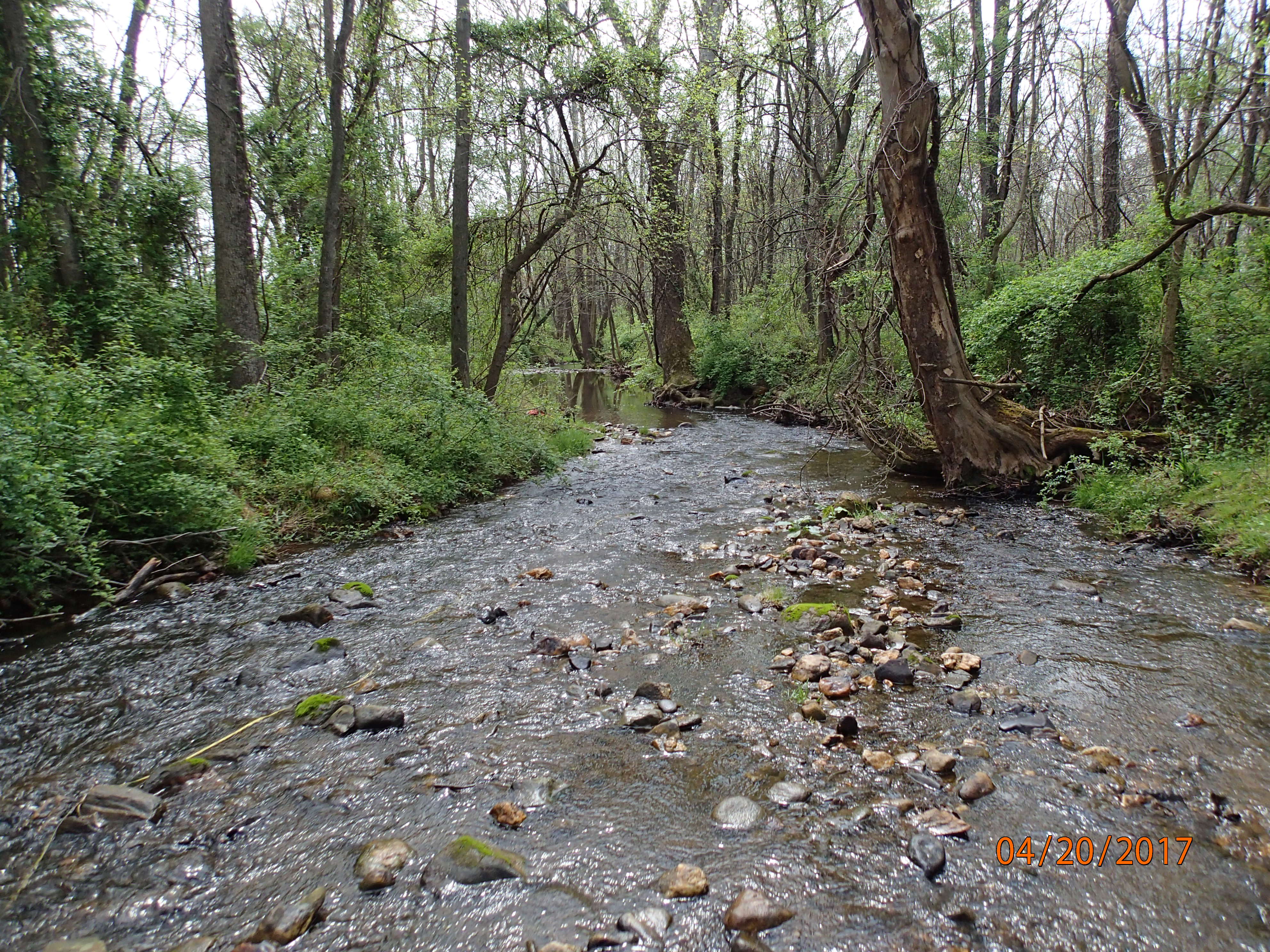 Field photo showing stream conditions at site UMON-297-X-2017-MidpointDownstream