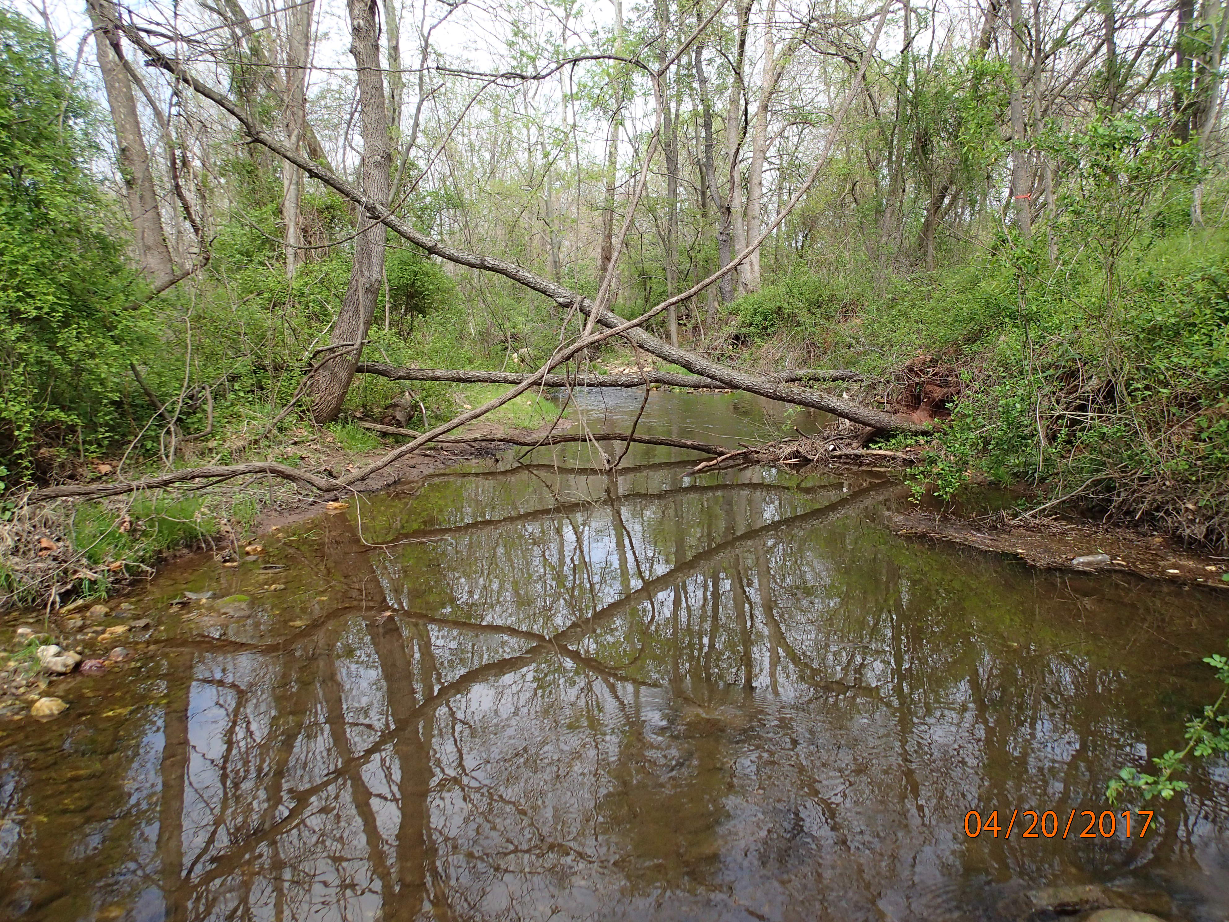 Field photo showing stream conditions at site UMON-297-X-2017-MidpointUpstream