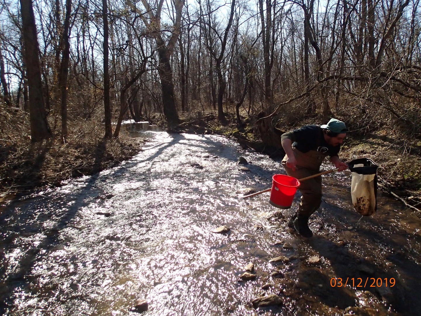 Field photo showing stream conditions at site UMON-297-X-2019_MidpointDownstream