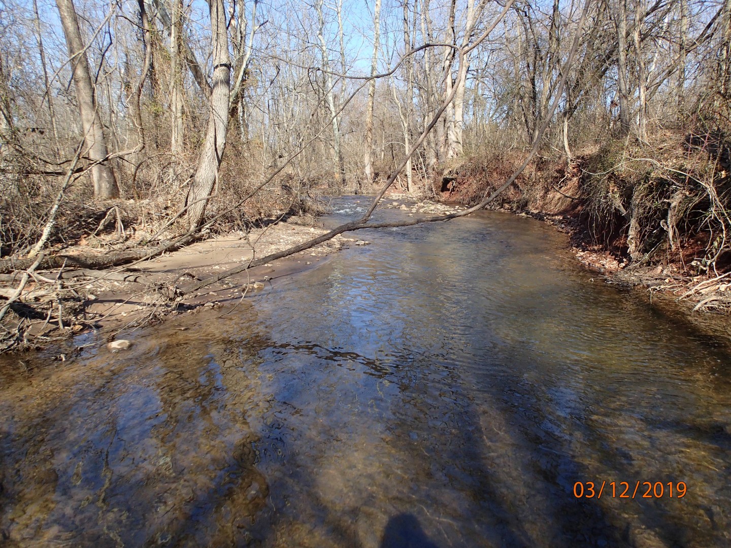Field photo showing stream conditions at site UMON-297-X-2019_MidpointUpstream