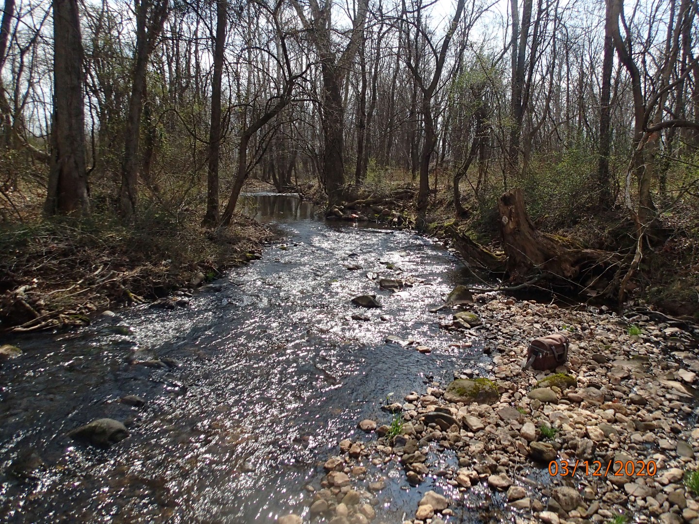 Field photo showing stream conditions at site UMON-297-X-2020_MidpointDownstream