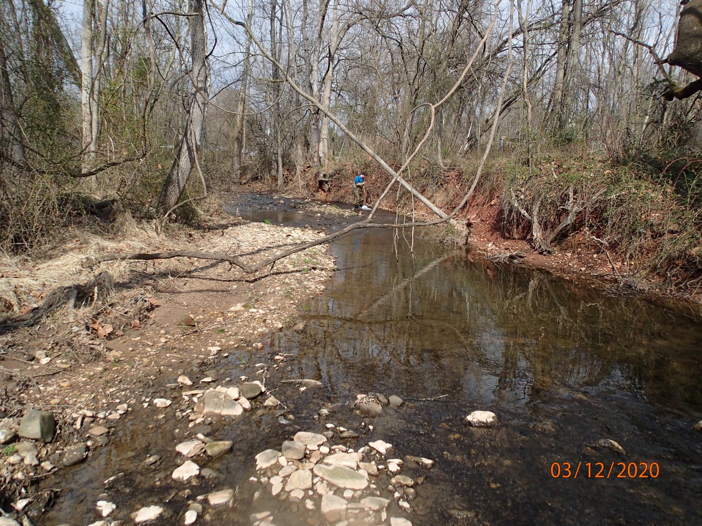 Field photo showing stream conditions at site UMON-297-X-2020_MidpointUpstream