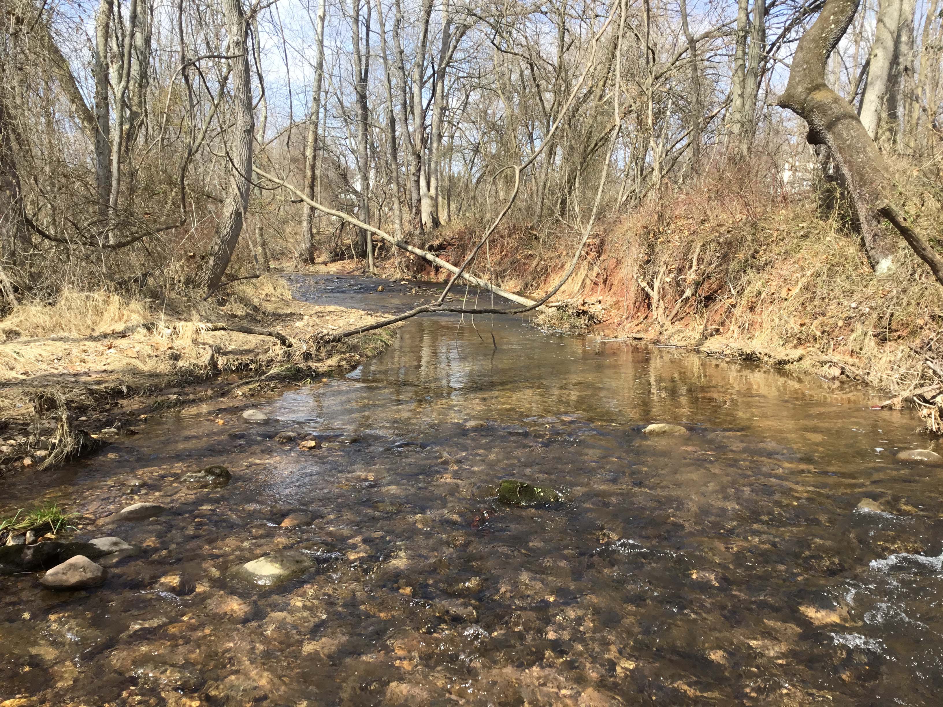 Field photo showing stream conditions at site UMON-297-X-2021_MidpointUpstream