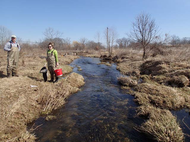 Field photo showing stream conditions at site UMON-298-X-2013-MidpointDownstream