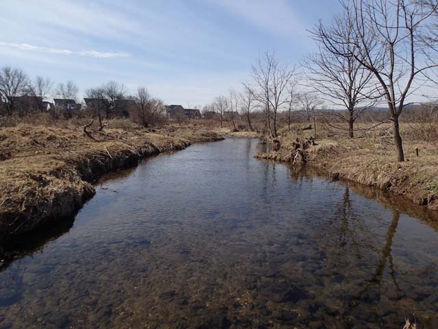 Field photo showing stream conditions at site UMON-298-X-2013-MidpointUpstream