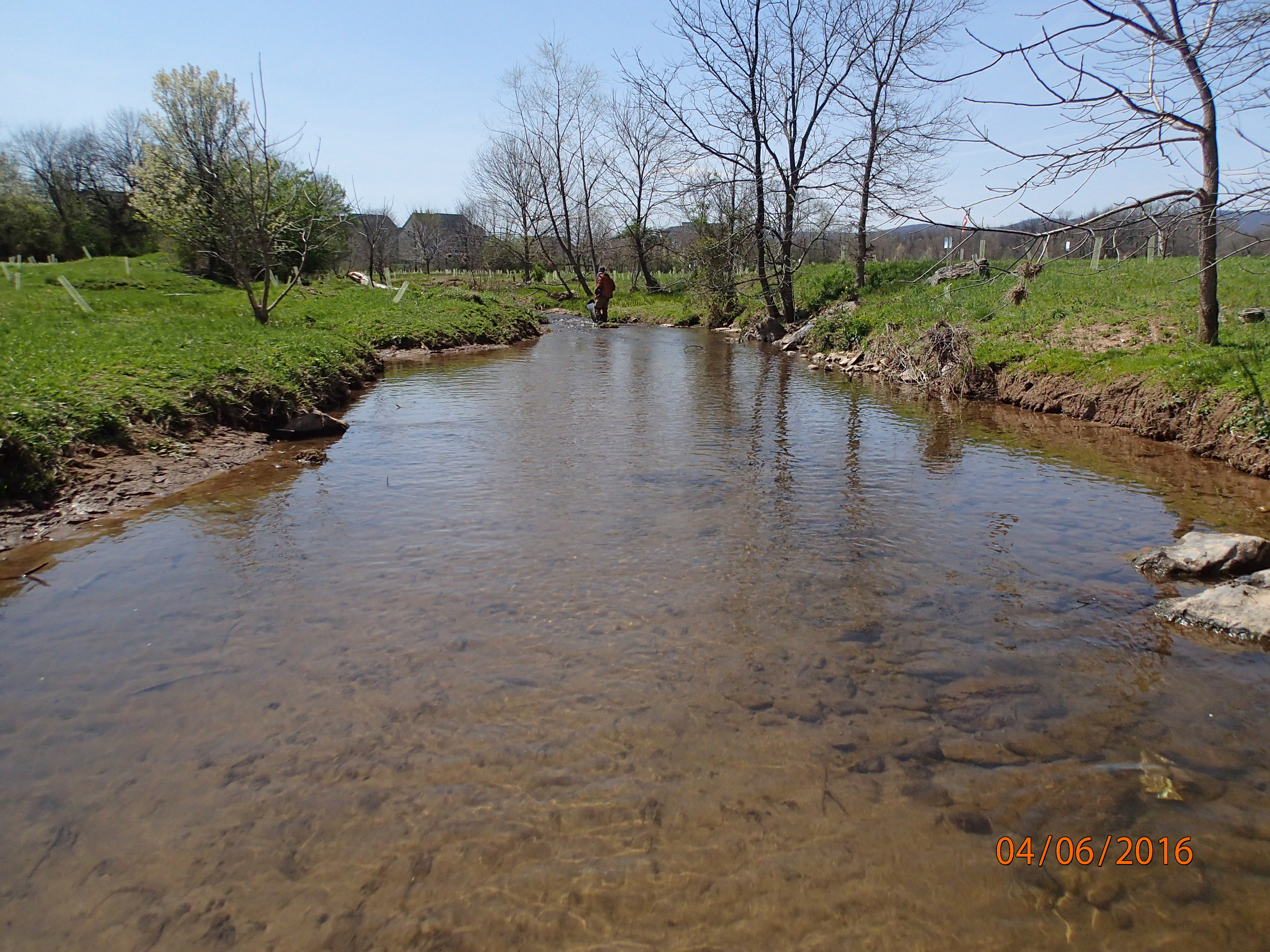 Field photo showing stream conditions at site UMON-298-X-2016-MidpointUpstream