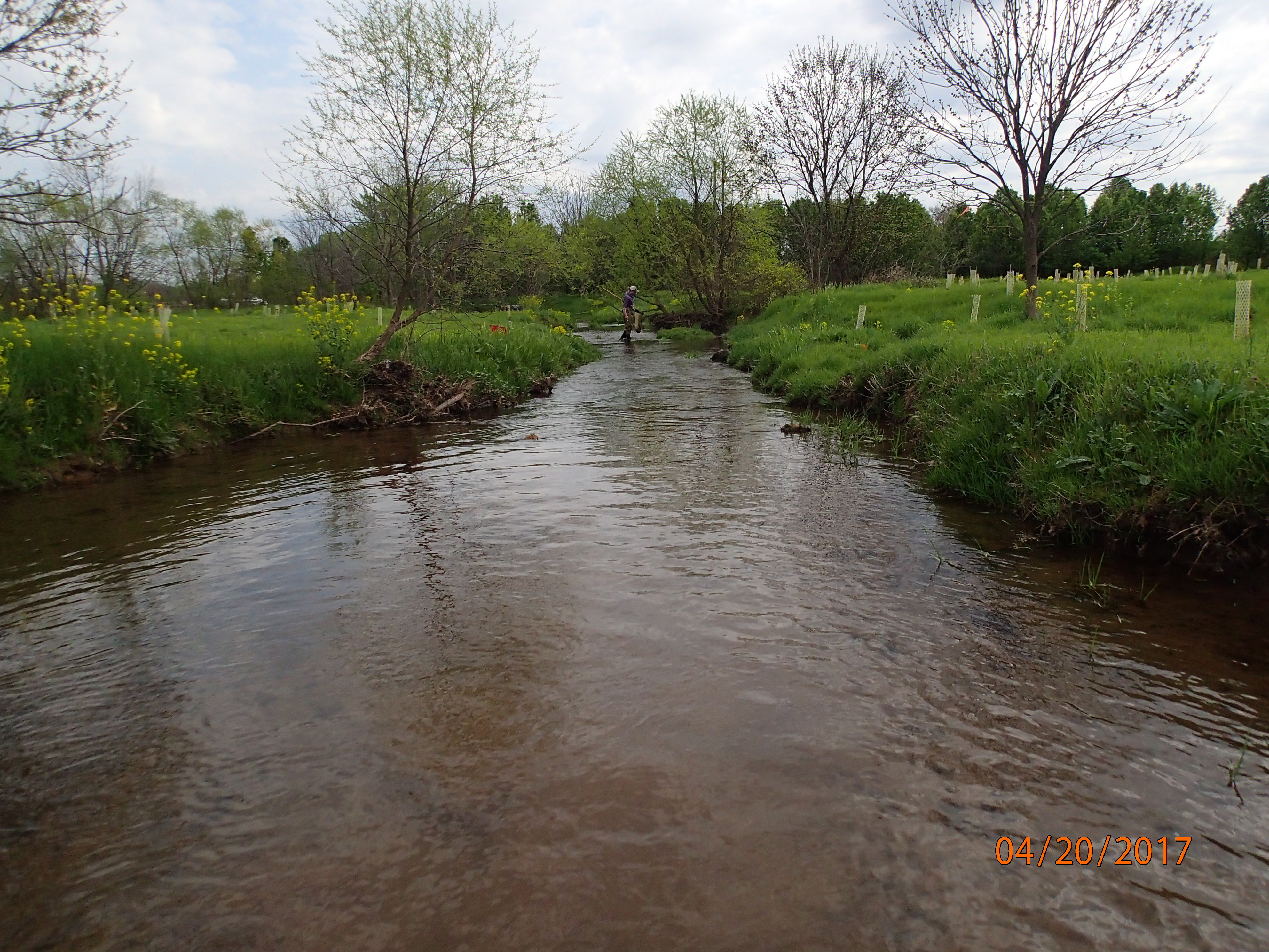 Field photo showing stream conditions at site UMON-298-X-2017-MidpointDownstream