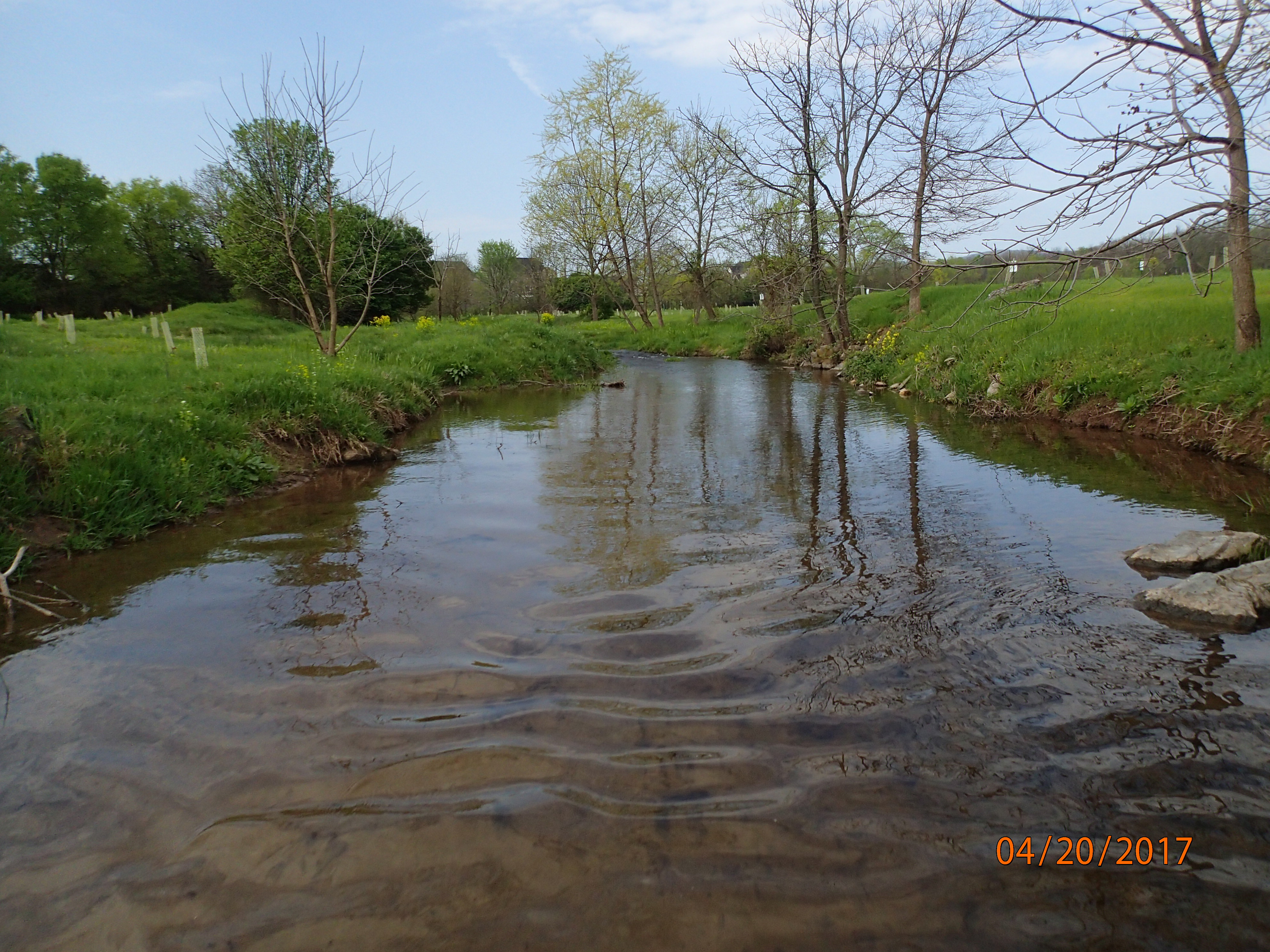 Field photo showing stream conditions at site UMON-298-X-2017-MidpointUpstream