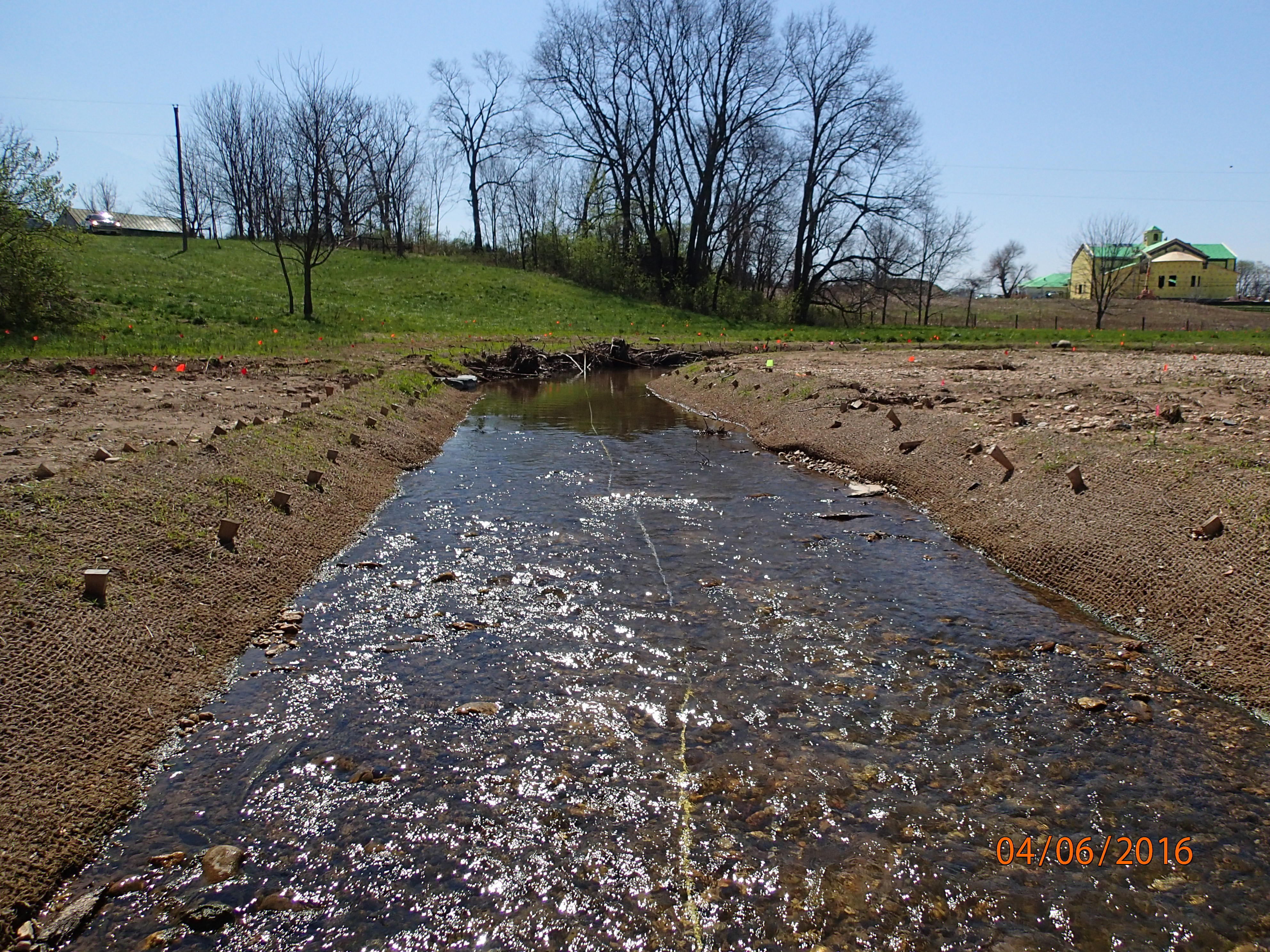 Field photo showing stream conditions at site UMON-299-X-2016-MidpointUpstream