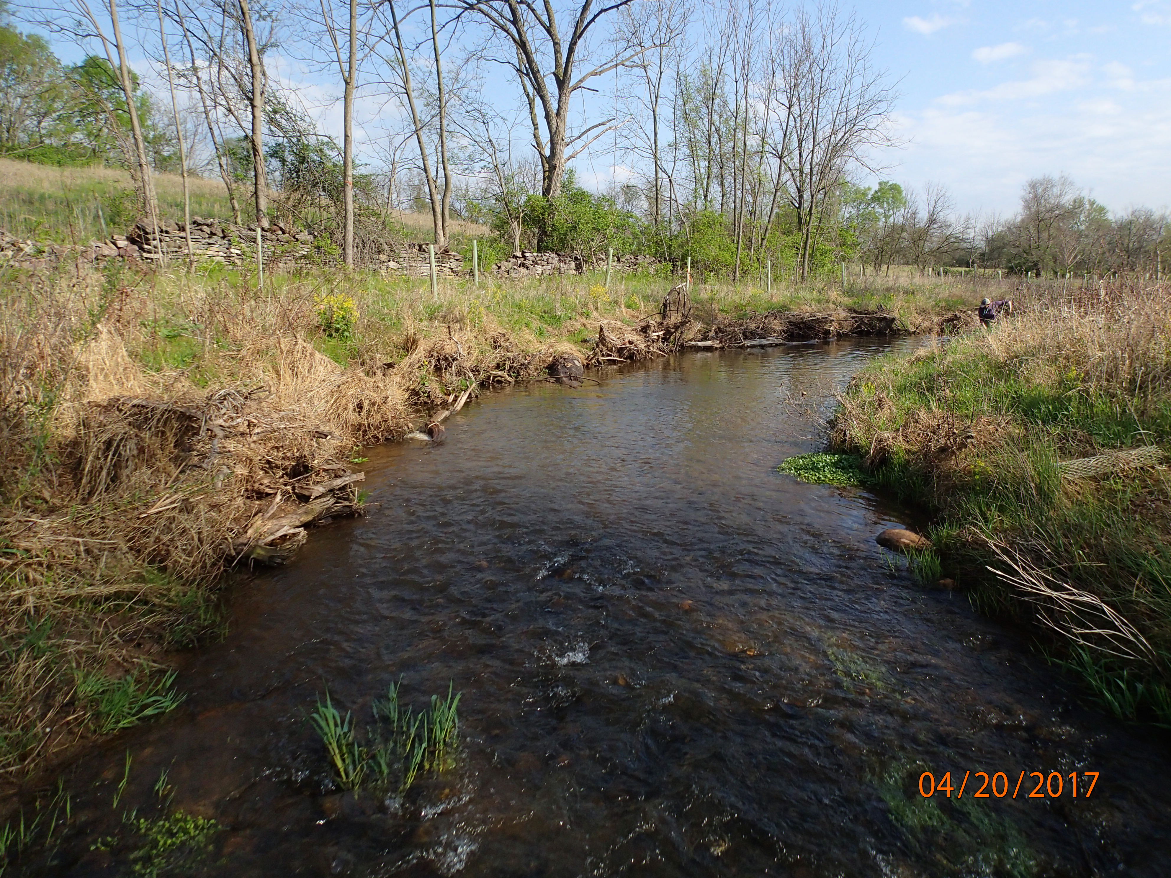 Field photo showing stream conditions at site UMON-299-X-2017-MidpointDownstream