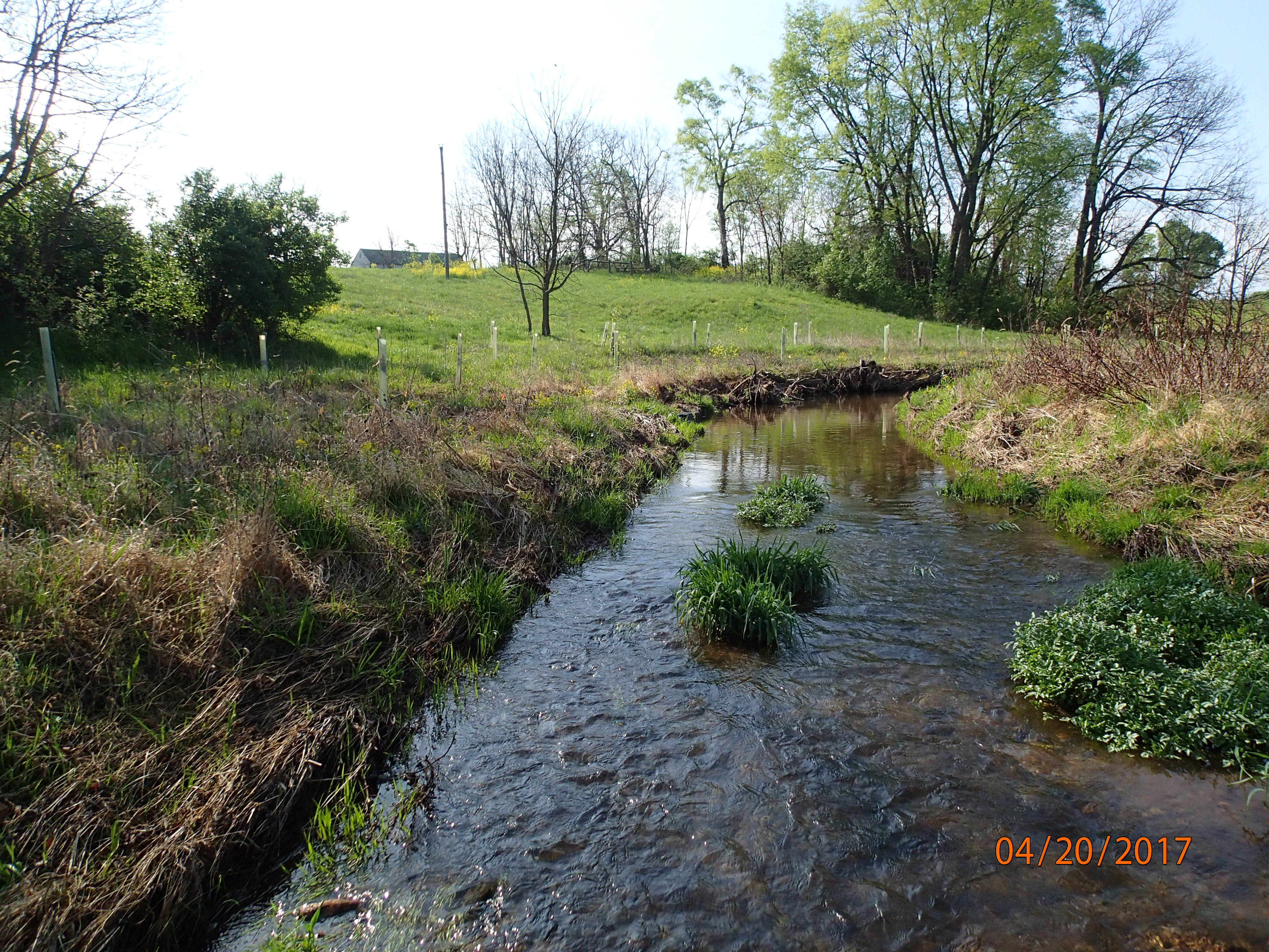 Field photo showing stream conditions at site UMON-299-X-2017-MidpointUpstream