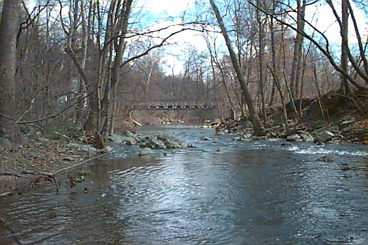 Field photo showing stream conditions at site UMON-304-R-2000-02