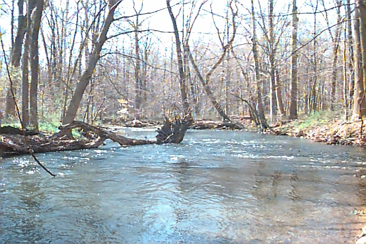 Field photo showing stream conditions at site UMON-322-R-2000-01