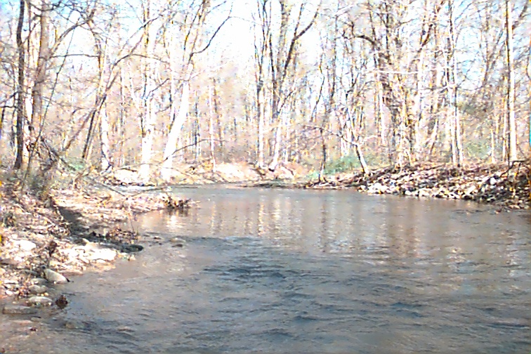 Field photo showing stream conditions at site UMON-322-R-2000-02