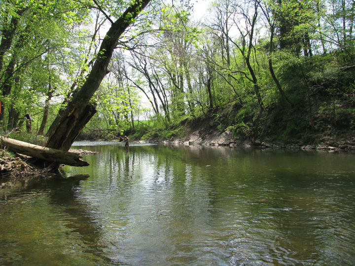 Field photo showing stream conditions at site UMON-408-H-2010-1