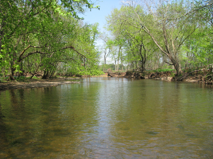 Field photo showing stream conditions at site UMON-408-H-2010-2
