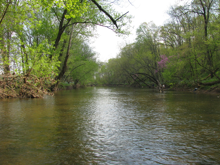 Field photo showing stream conditions at site UMON-409-H-2010-1