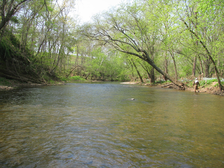 Field photo showing stream conditions at site UMON-409-H-2010-2