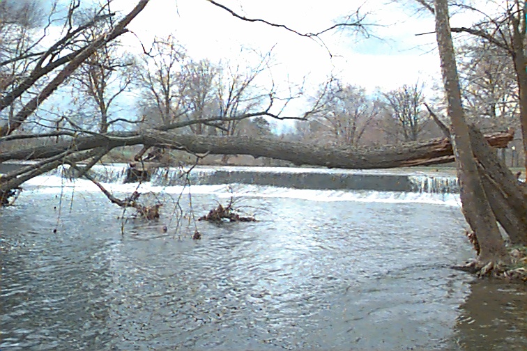 Field photo showing stream conditions at site UMON-413-R-2000-02