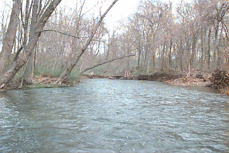 Field photo showing stream conditions at site UMON-413-R-2000-03