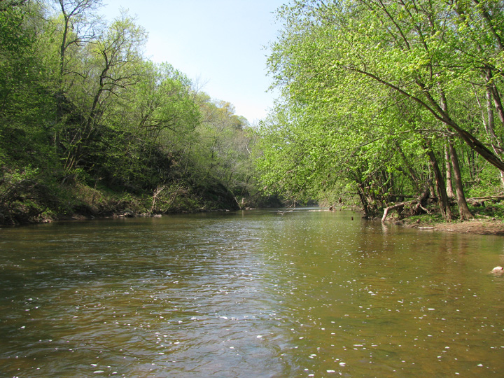 Field photo showing stream conditions at site UMON-510-H-2010-1