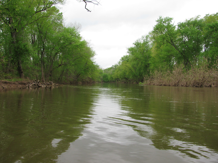 Field photo showing stream conditions at site UMON-616-H-2011-1