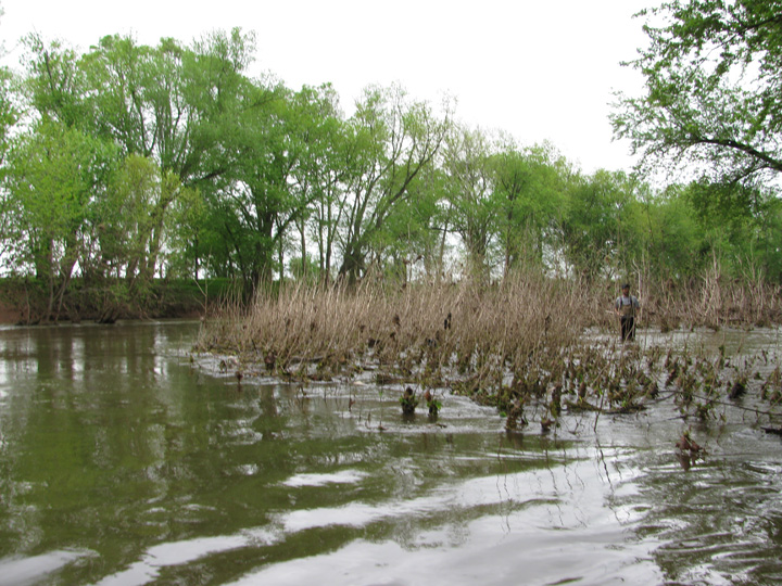 Field photo showing stream conditions at site UMON-616-H-2011-2