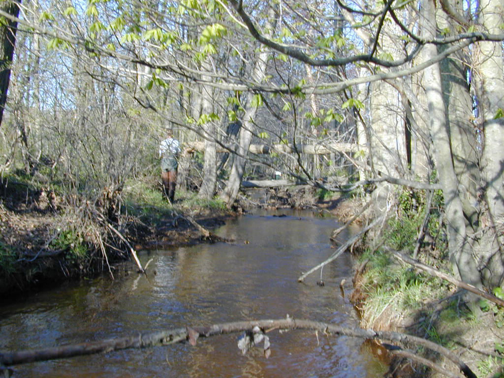 Field photo showing stream conditions at site UPCK-101-R-2000-01
