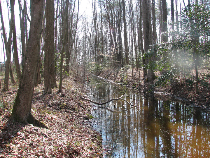 Field photo showing stream conditions at site UPCK-101-R-2007-1