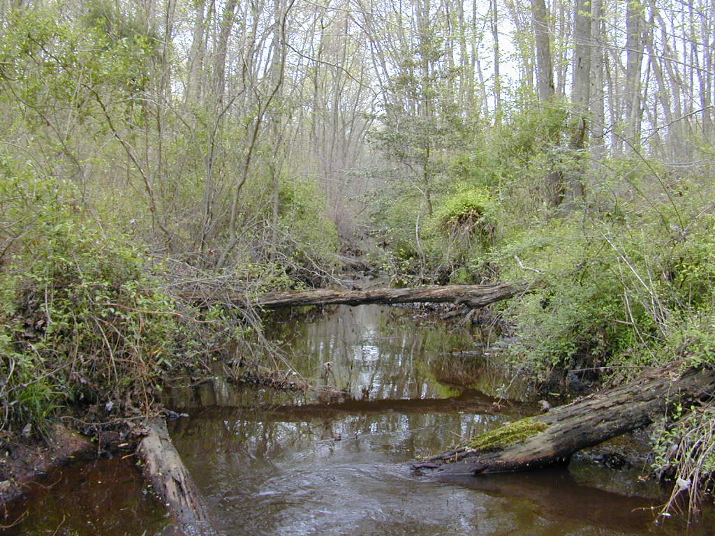 Field photo showing stream conditions at site UPCK-102-R-2000-01